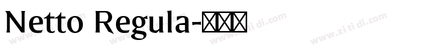 Netto Regula字体转换